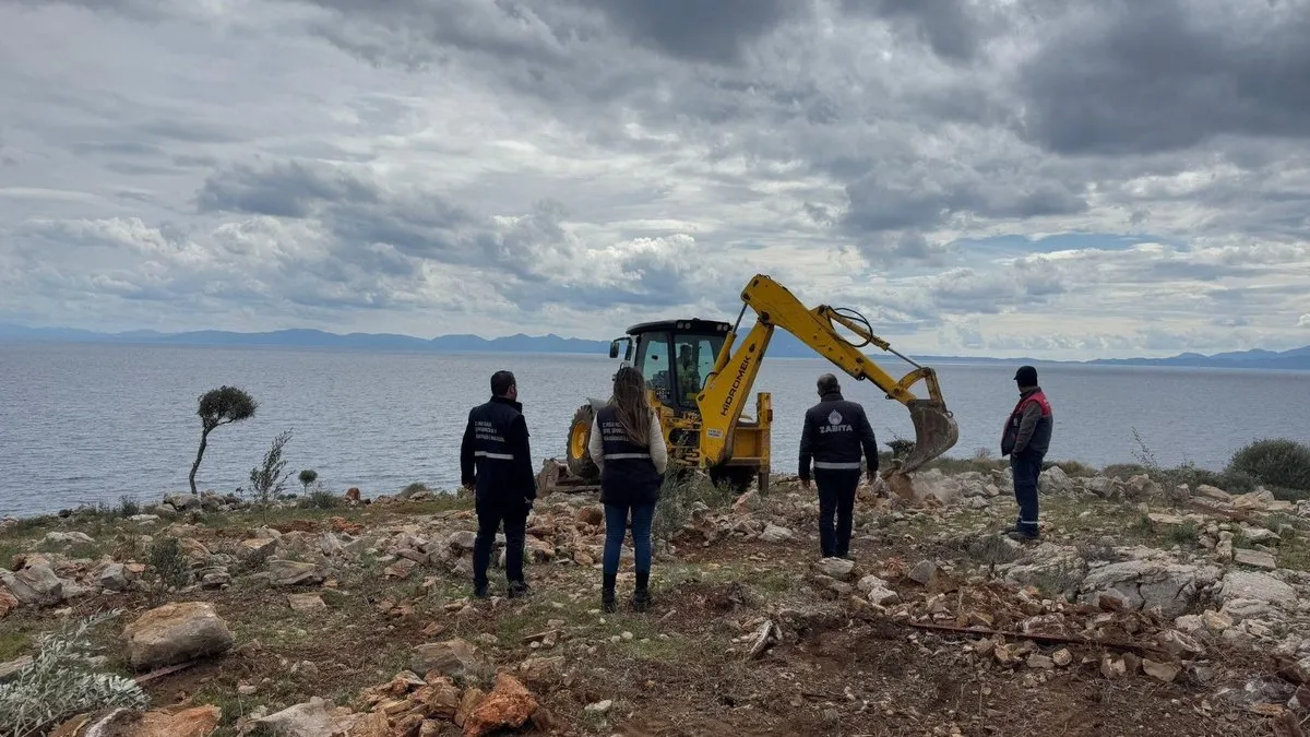 Ağaç bahane işgal şahane!